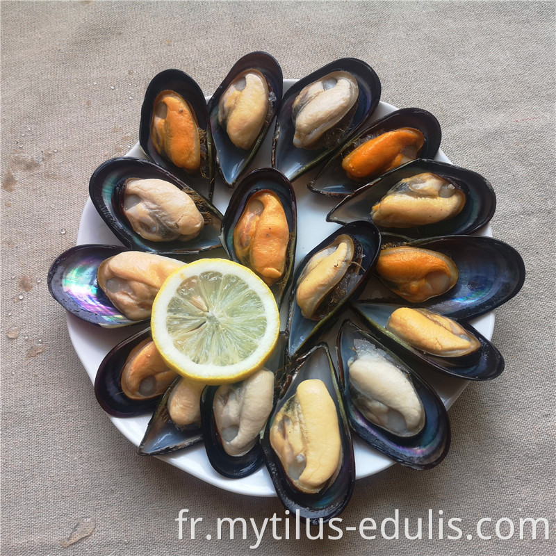 moules vertes cuites fraîches surgelées de haute qualité